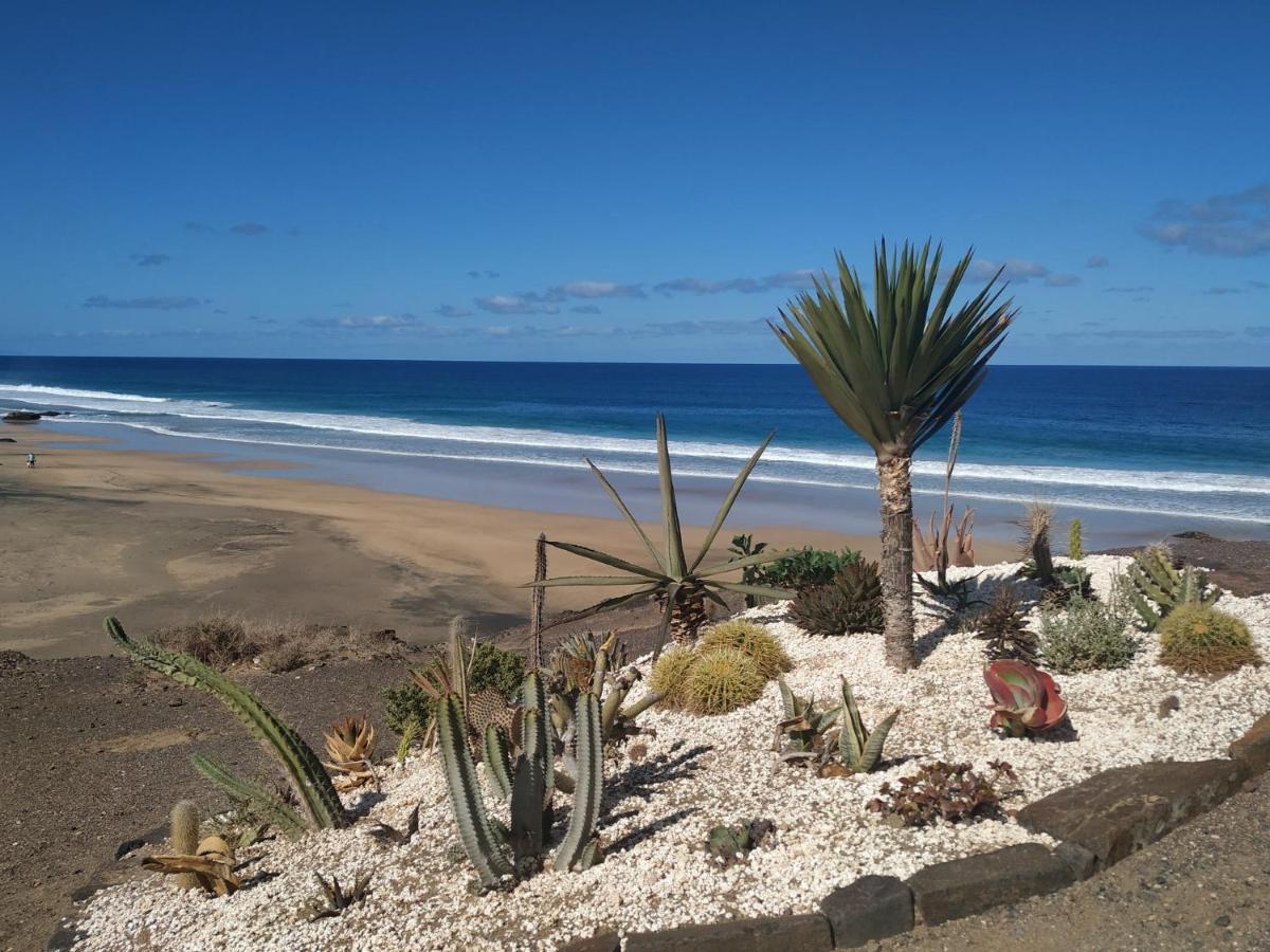 شقة Pent House Ocean View Cotillo المظهر الخارجي الصورة